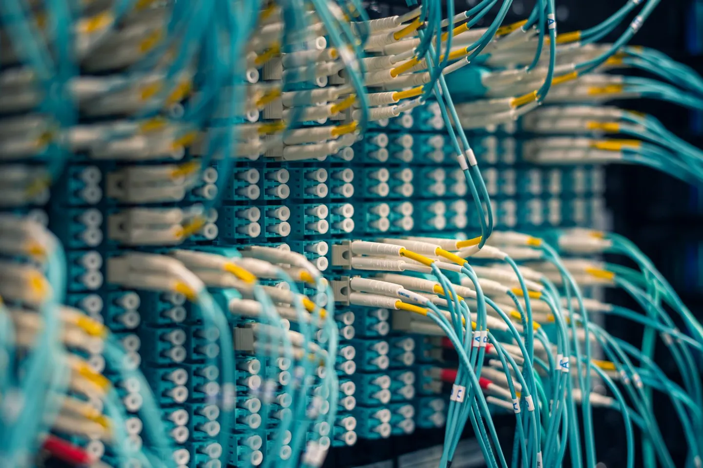Blaue Netzwerkkabel in einem Anschlussfeld