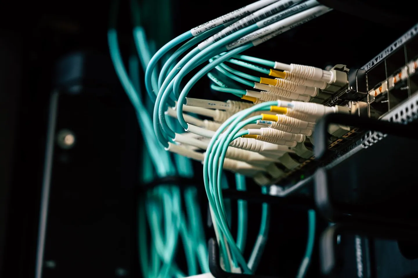 Netzwerkkabel sind mit einem Server verbunden
