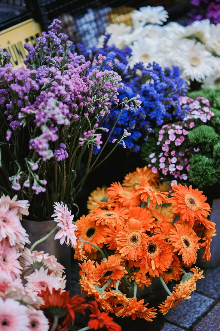 Auslage mit orangefarbenen, violetten und blauen Blumen