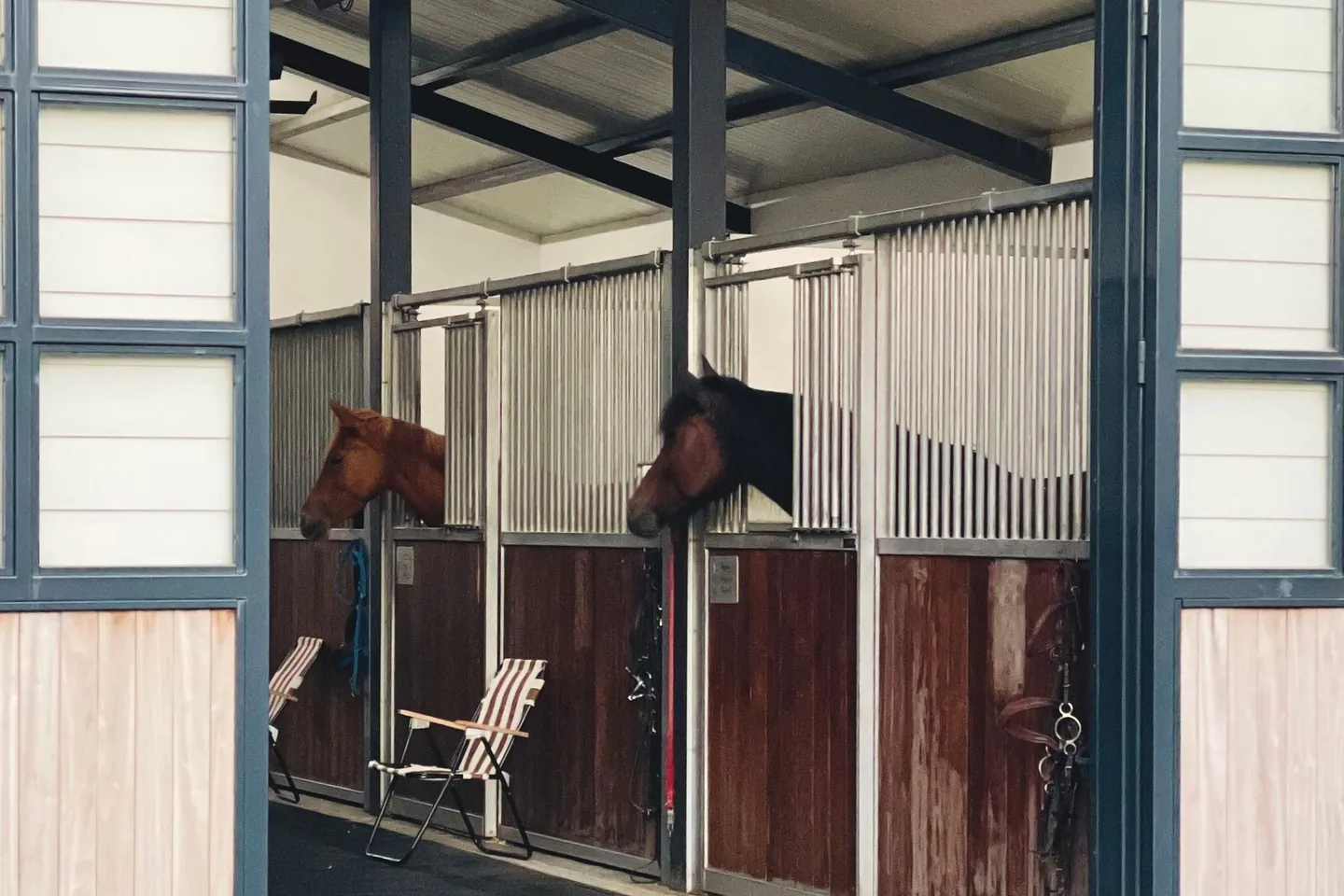 Pferde in offenen Boxentüren einer Stallanlage